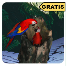 App de realidad aumentada dibujos